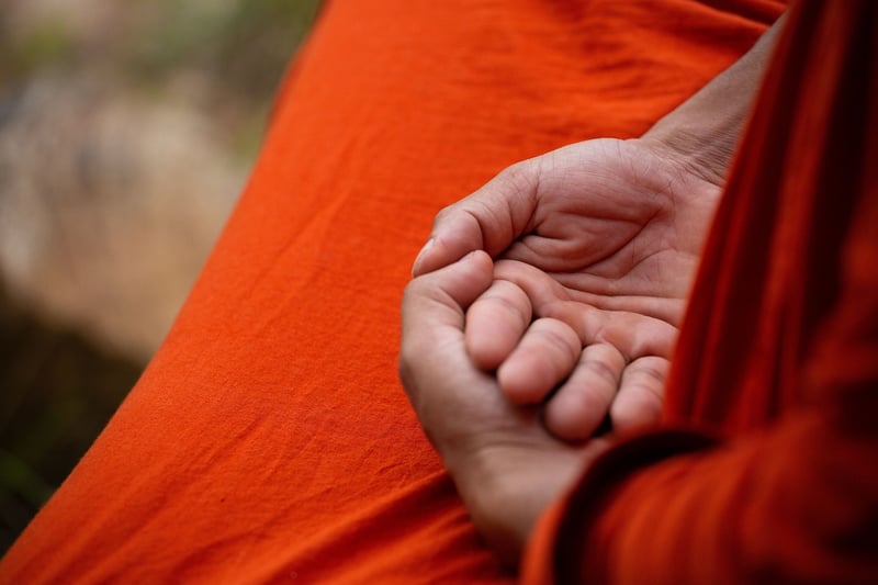 Meditation Camp
